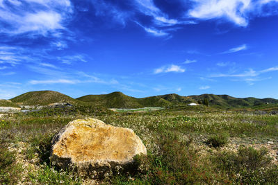 Scenic view of field against blue sky