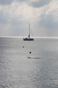 Sailboat in sea against sky