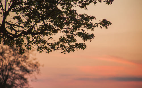 Low angle view of silhouette tree against romantic sky