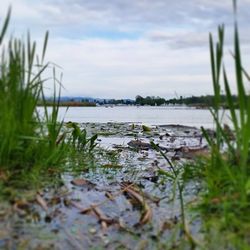 Tranquil scene of lake