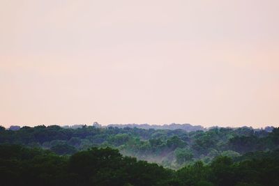 Scenic view of landscape against clear sky
