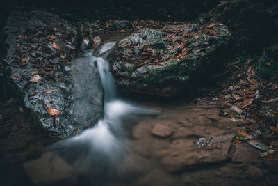 Scenic view of waterfall in forest