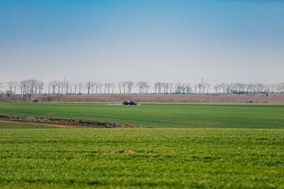 Scenic view of field against clear sky