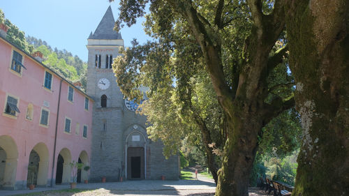 Trees by historic building against sky