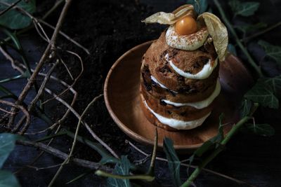 High angle view of panettone dessert on plant