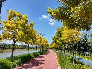 Road amidst trees against sky during autumn