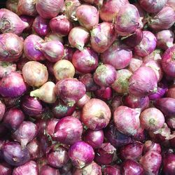 Full frame shot of onions at market stall