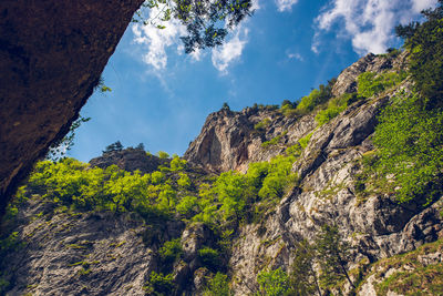 Low angle view of trees and mountains against sky