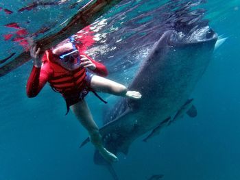 Low angle view of man swimming by fish in sea