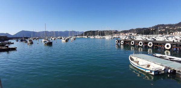 Sailboats moored on sea against clear blue sky