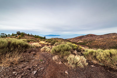 Scenic view of landscape against sky