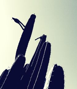 Low angle view of silhouette cranes against clear sky