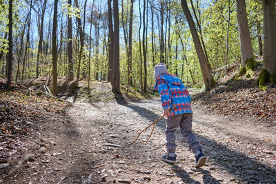 Rear view of man walking in forest