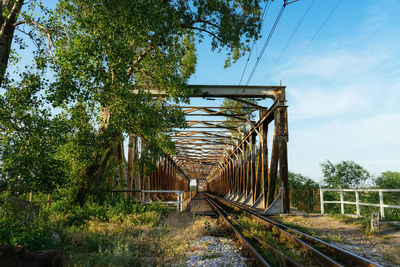 Railroad tracks amidst trees against sky