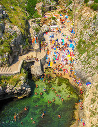 High angle view of people on rock by plants