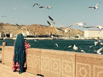 Rear view of woman feeding flying seagulls at shore