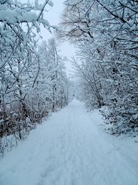 snow