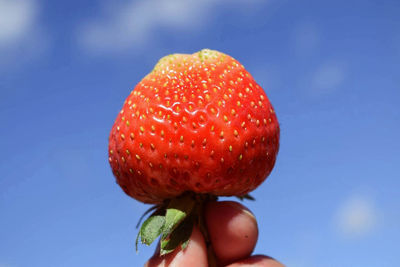 Close-up of strawberry against blue sky