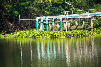 Bridge over lake against trees