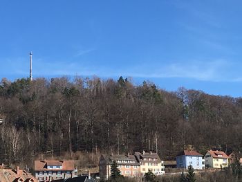 High angle view of trees and buildings against blue sky