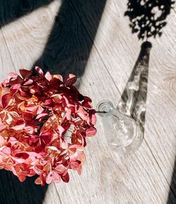 High angle view of red rose on table