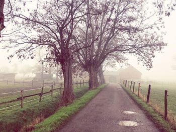 Road amidst trees on field against sky