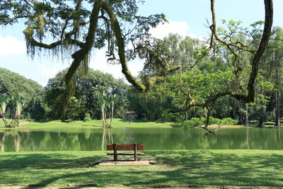 Empty bench in park by lake