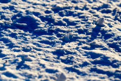 Close-up of snow on land