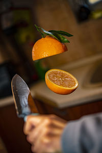 Close-up of hand holding fruit