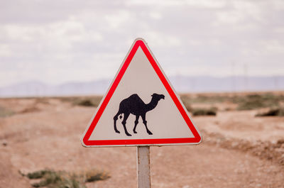 Close-up of camal road sign against the sky