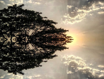 Low angle view of tree against sky during sunset