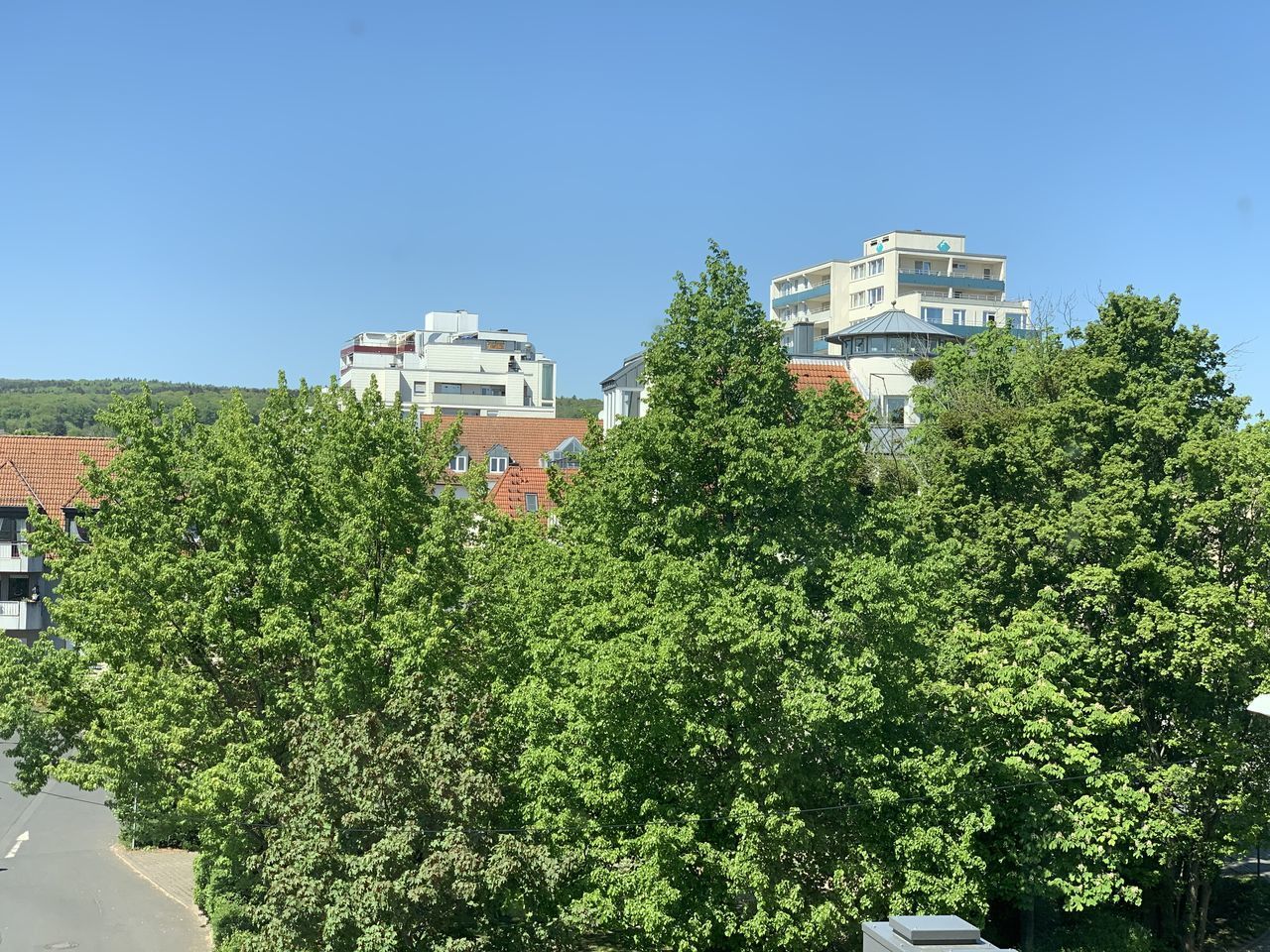 PLANTS AND TREES AND BUILDINGS AGAINST BLUE SKY