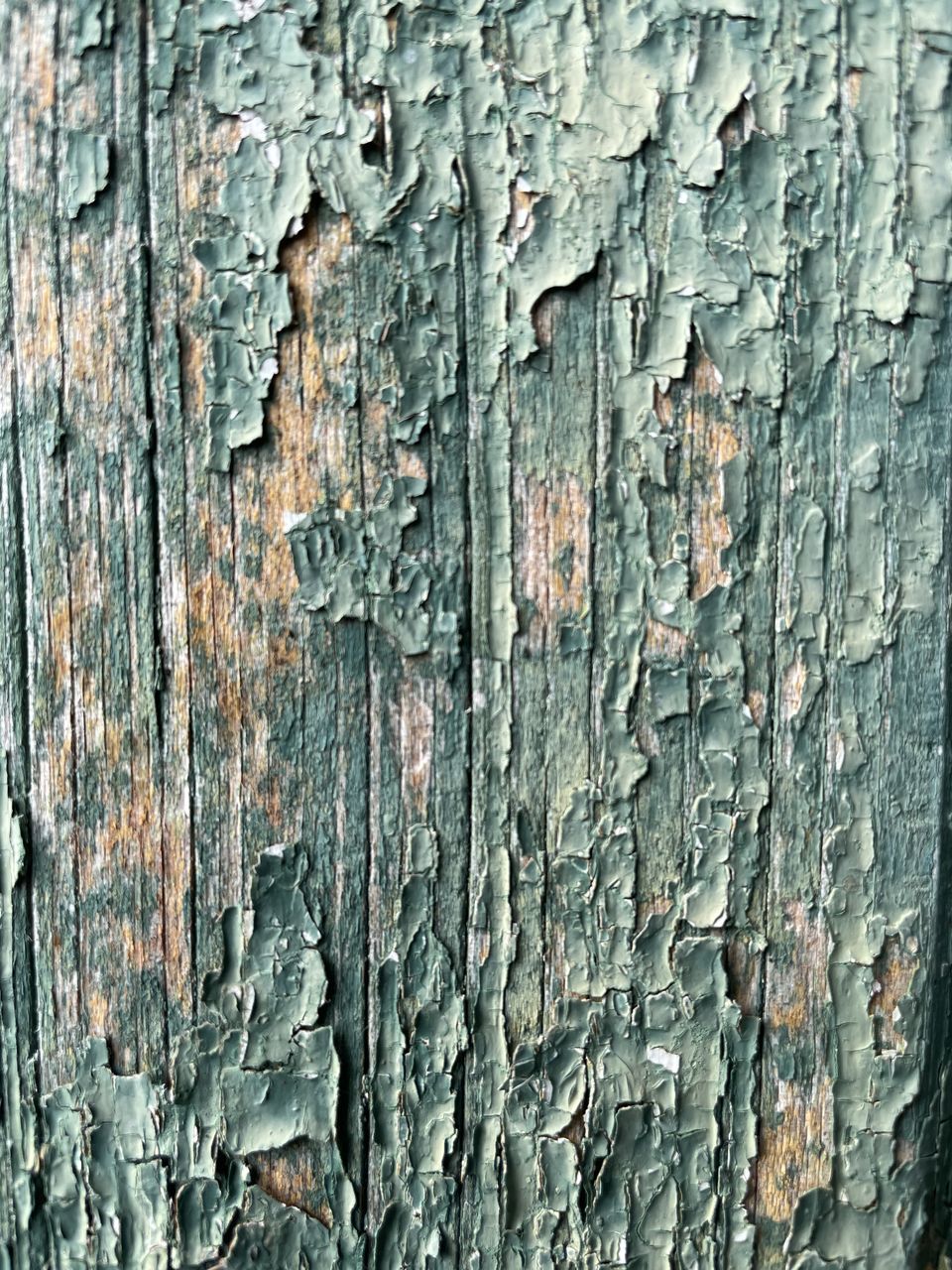 FULL FRAME SHOT OF OLD WEATHERED TREE TRUNK