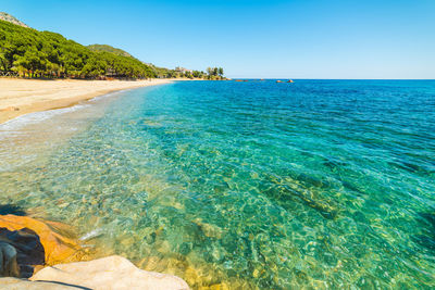 Scenic view of sea against clear blue sky