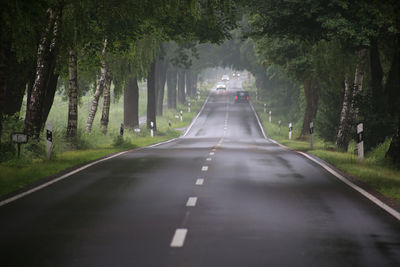 Empty road in forest