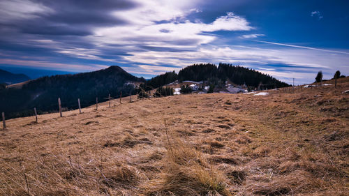 Scenic view of field against sky