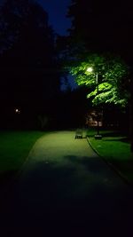 View of illuminated park at night