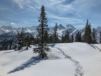 Trees on snow covered landscape against sky