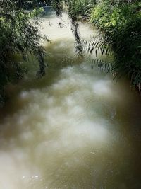 Reflection of tree in lake against sky