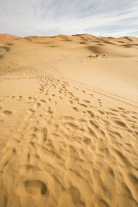 Scenic view of desert against sky