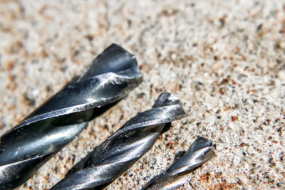 Close-up of shell on beach