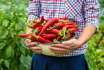 Midsection of man holding red chili