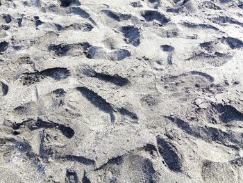 High angle view of footprints on sand at beach