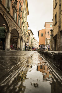 Buildings reflecting on alley