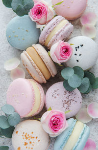 Beautiful colorful tasty macaroons and pink roses on a grey concrete background