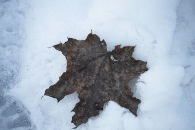 Full frame shot of snow