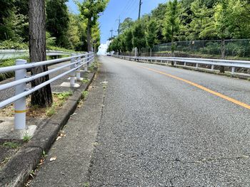 Road by trees against sky