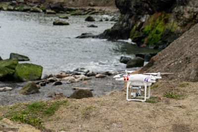 Seals on the beach with a drone in the foreground