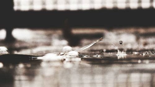 Close up of water