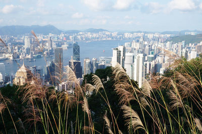 Panoramic view of city buildings